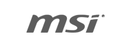 MSI